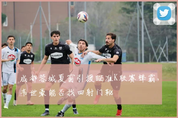成都蓉城夏窗引援瞄准K联赛锋霸，韦世豪能否找回射门靴